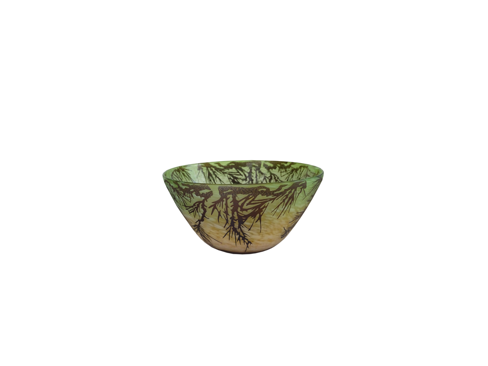 Glass bowl with nature-themed design - zora store llc